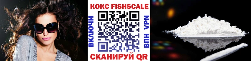 Кокаин FishScale  купить наркотики цена  Ардатов 