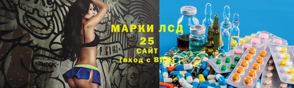 стаф Алзамай