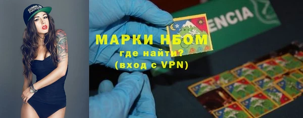 стаф Алзамай