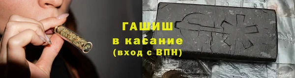 стаф Алзамай
