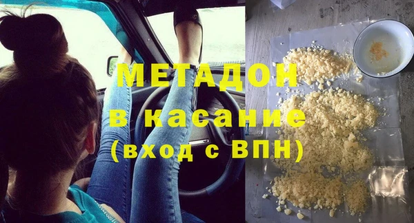 стаф Алзамай