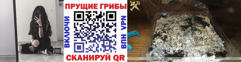 цены наркотик  Ардатов  Галлюциногенные грибы Psilocybe 